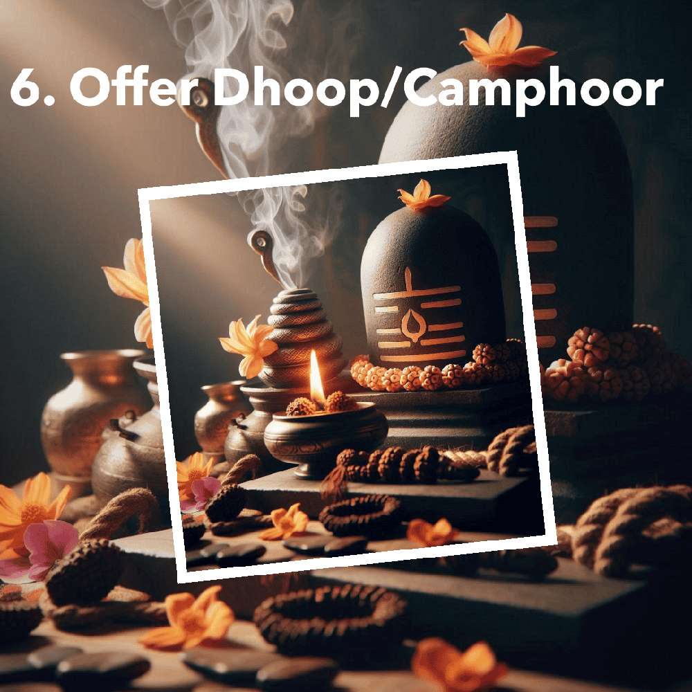 6 offer dhoop camphoor